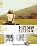 日光沉寂 豆蔻彼年说的什么故事